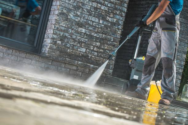 Animal Enclosure Cleaning in Hazelwood, MO